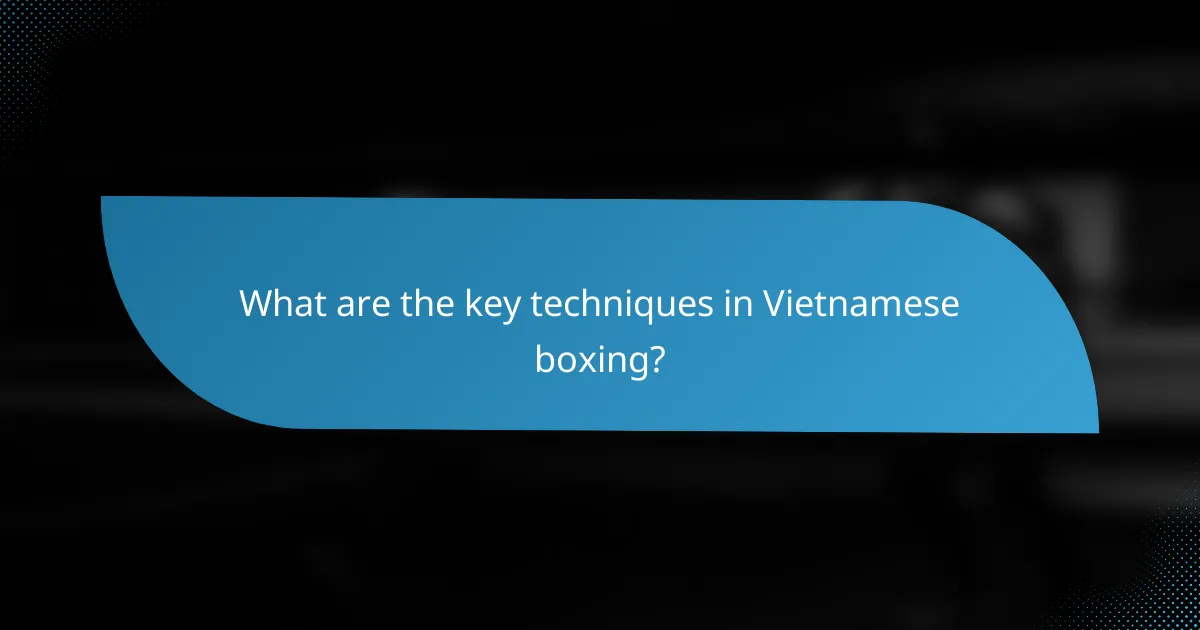 What are the key techniques in Vietnamese boxing?