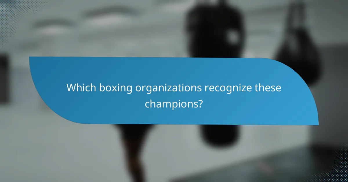 Which boxing organizations recognize these champions?