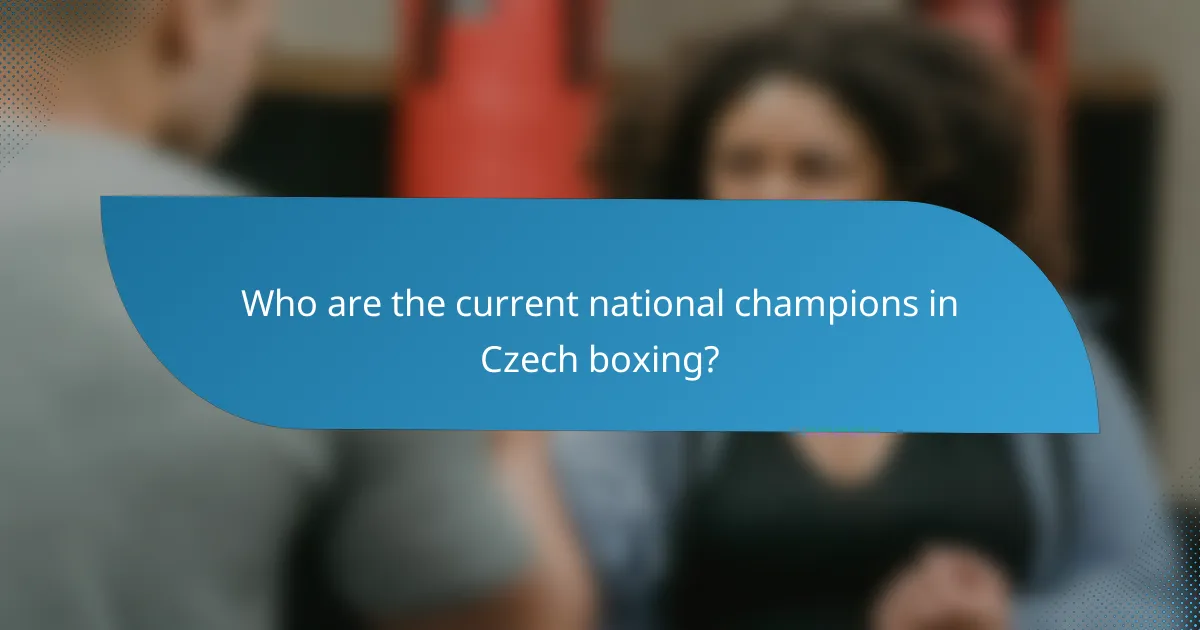 Who are the current national champions in Czech boxing?