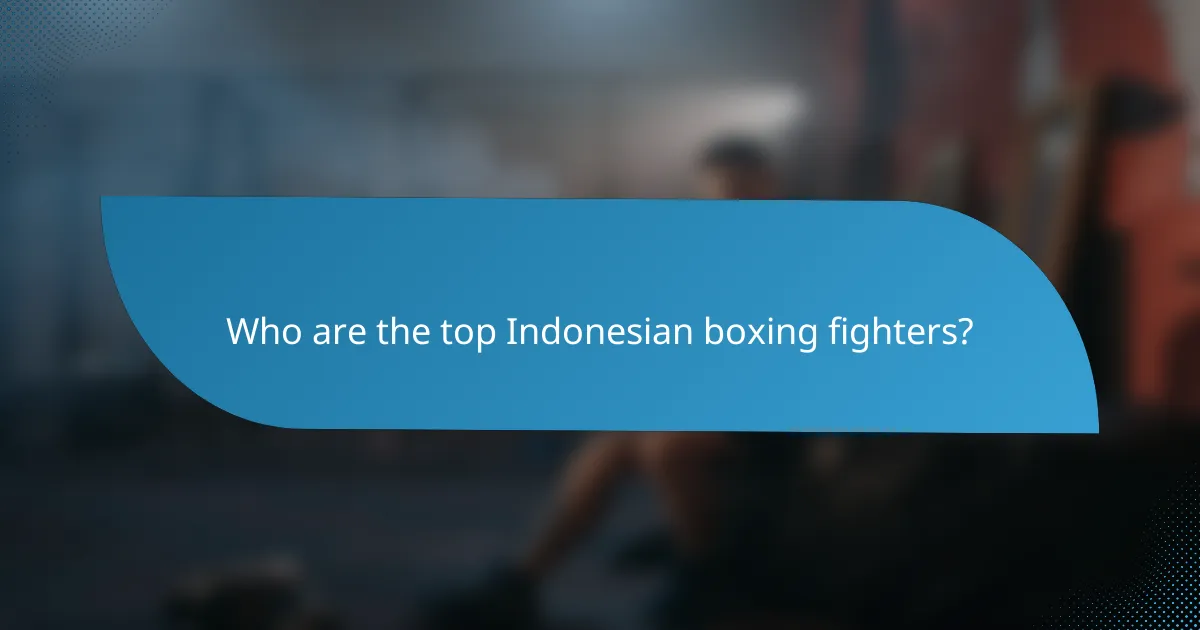 Who are the top Indonesian boxing fighters?